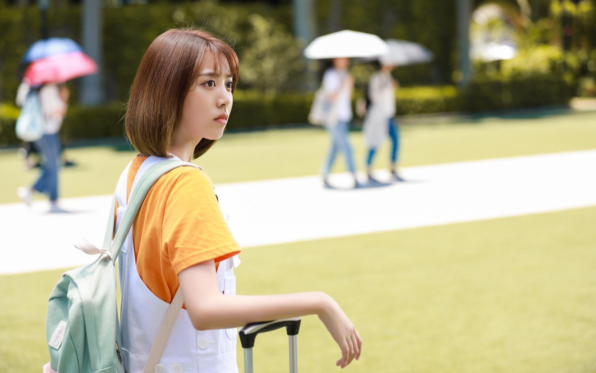 化学产品价格分析怎么写(化学制品价格)