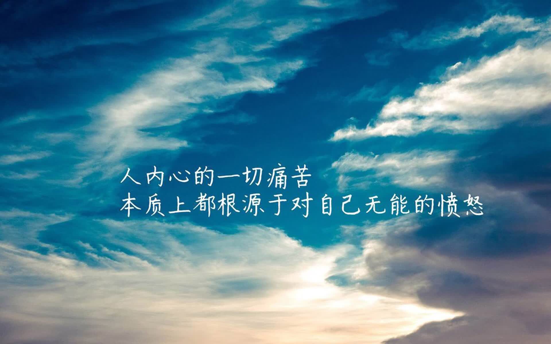 监控化学品管理条例（监控化学品管理条例实施细则不予验收）